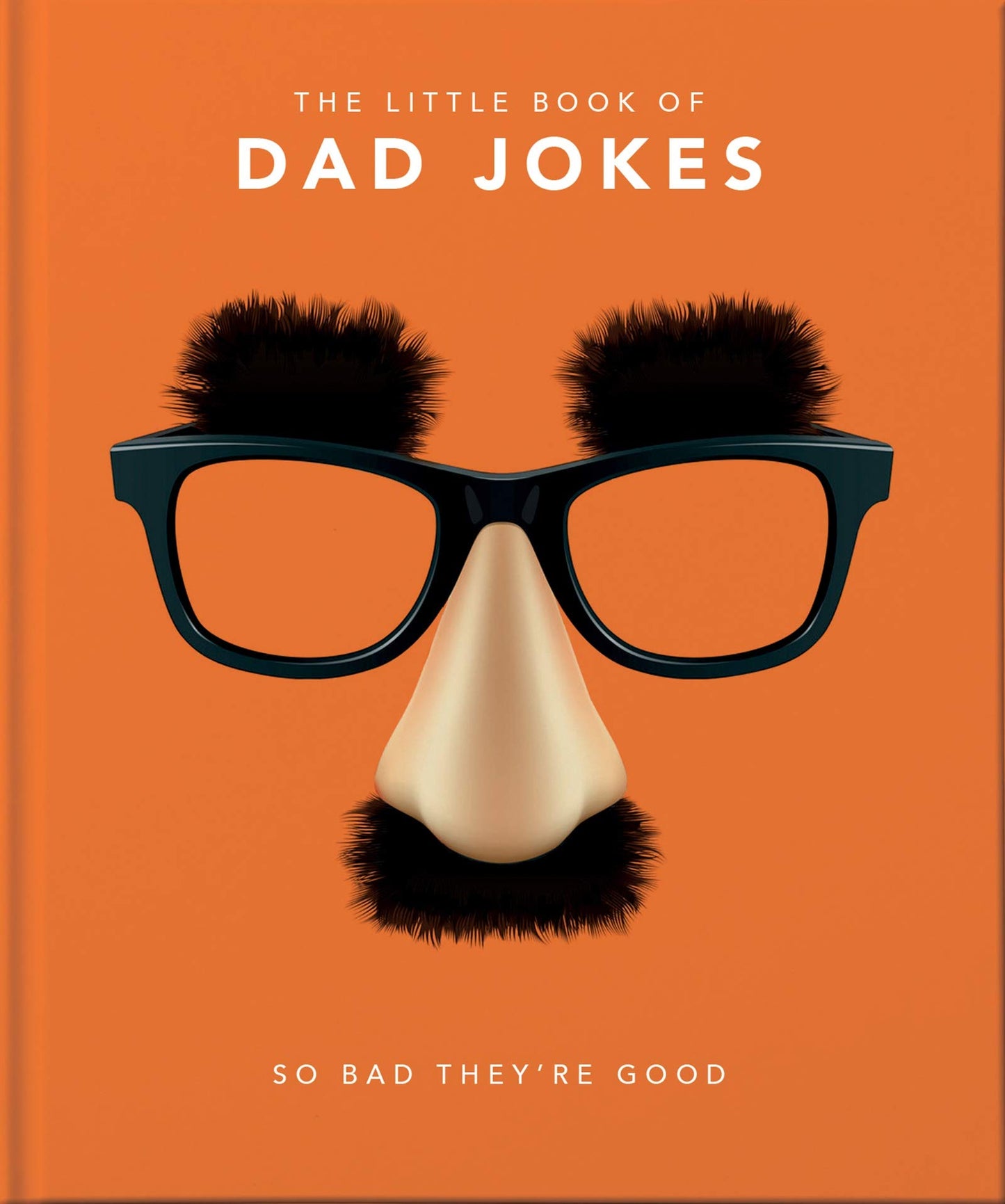 LITTLE BOOK OF SERIES: DAD JOKES