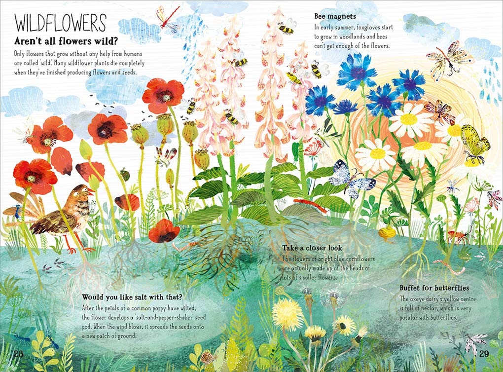 THE BIG BOOK OF BLOOMS