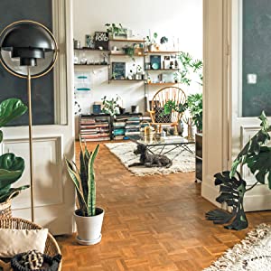 THE LEAF SUPPLY: GUIDE TO CREATING YOUR INDOOR JUNGLE