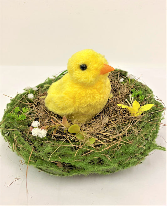CHICK IN A NEST