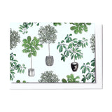 Card - Indoor Plants