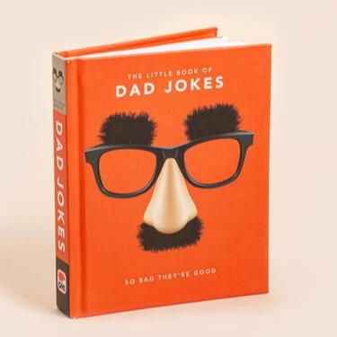 LITTLE BOOK OF SERIES: DAD JOKES