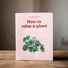 HOW TO RAISE A PLANT - GEORGES of Dubai