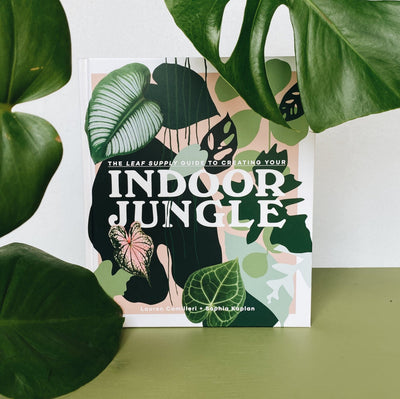 THE LEAF SUPPLY: GUIDE TO CREATING YOUR INDOOR JUNGLE